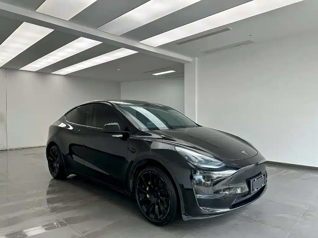 Tesla Model Y — фото 3