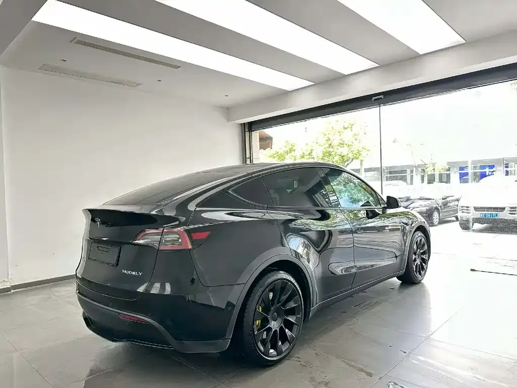 Tesla Model Y — фото 5