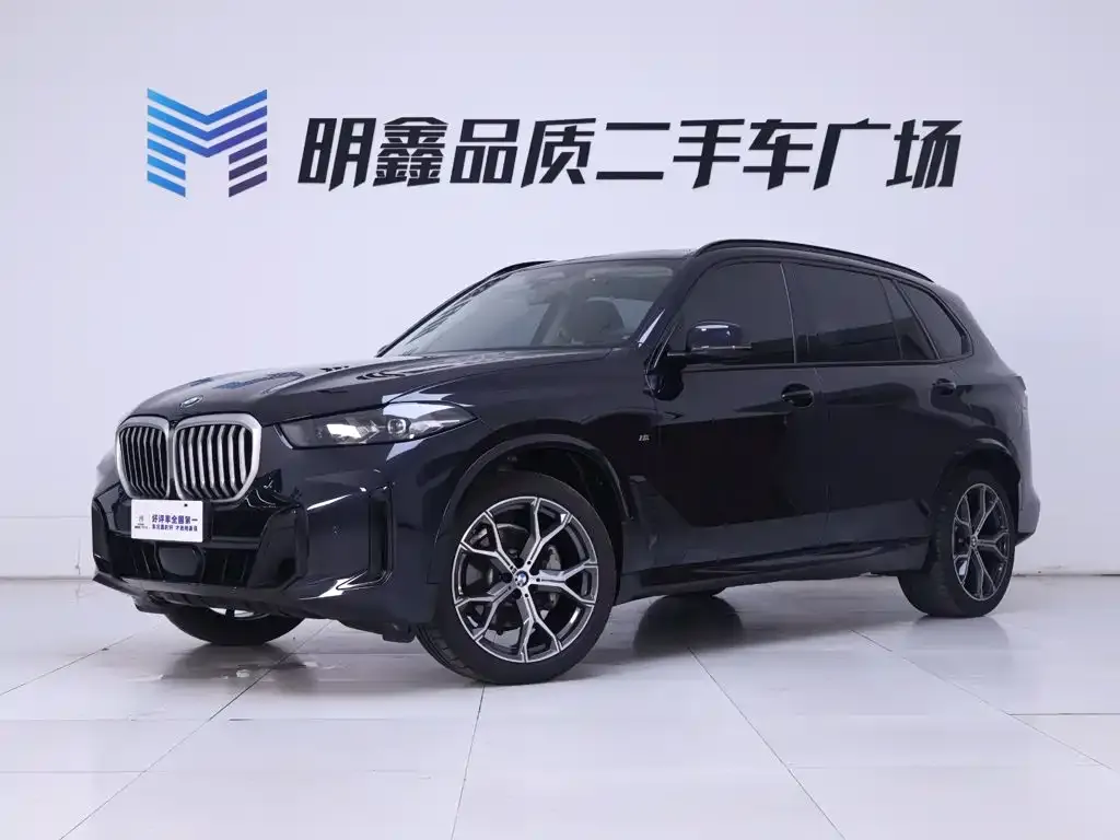 BMW X5 — фото 10