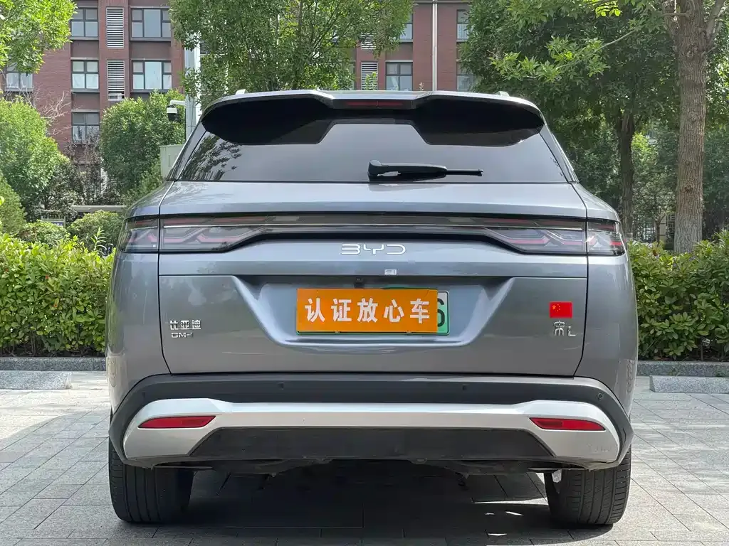 BYD L DM-i 2024 из CN, фото 9