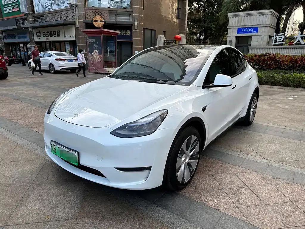 Tesla Model Y — фото 1