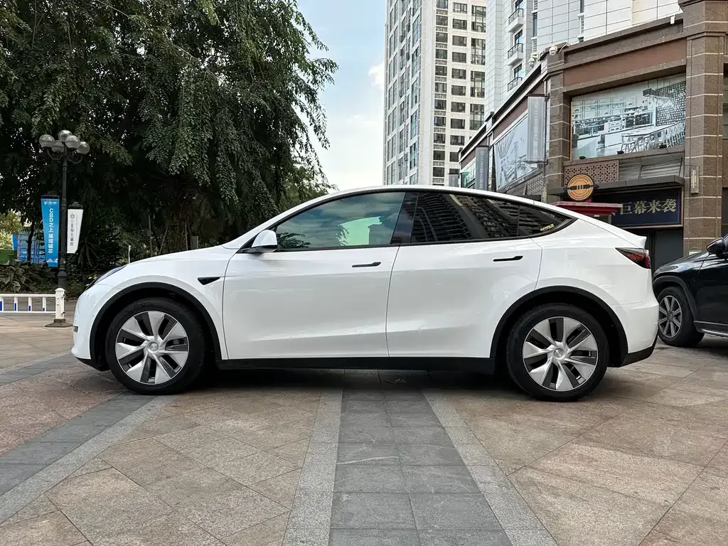 Tesla Model Y — фото 10