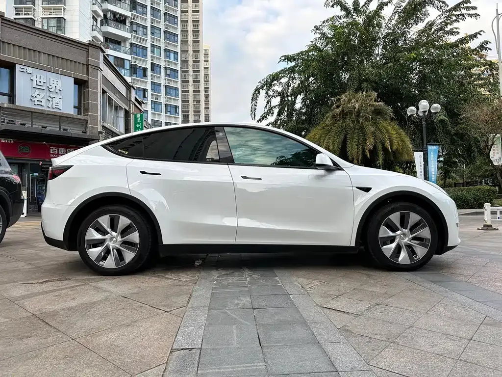 Tesla Model Y — фото 9