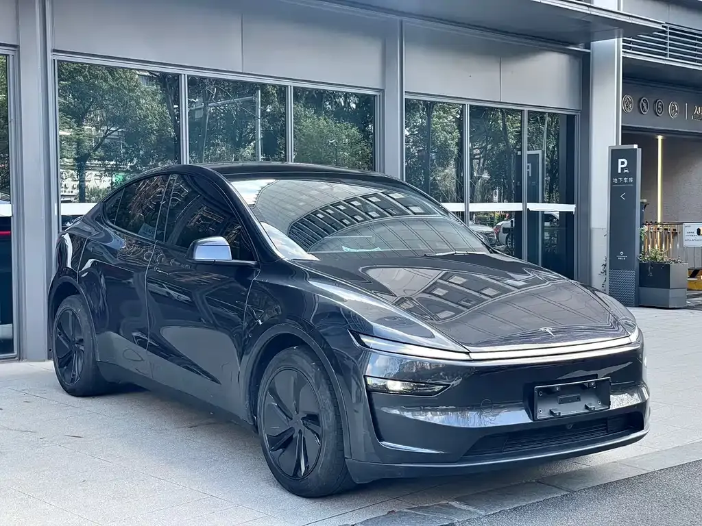 Tesla Model Y — фото 3