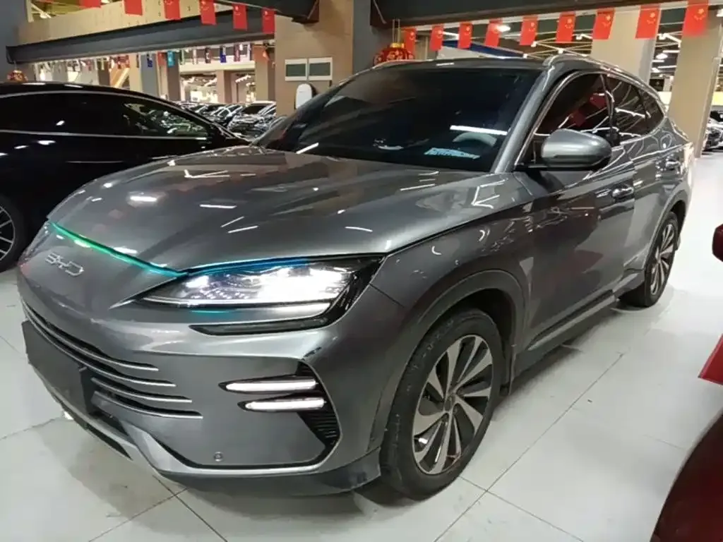 BYD PLUS New Energy — фото 1