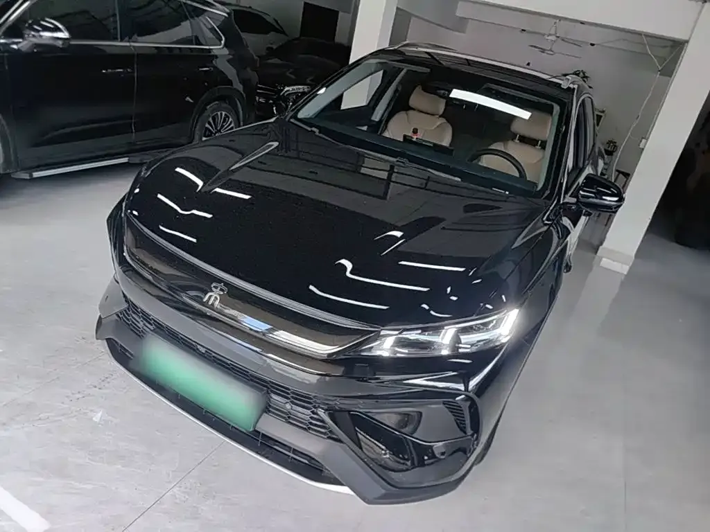 BYD Pro New Energy — фото 1
