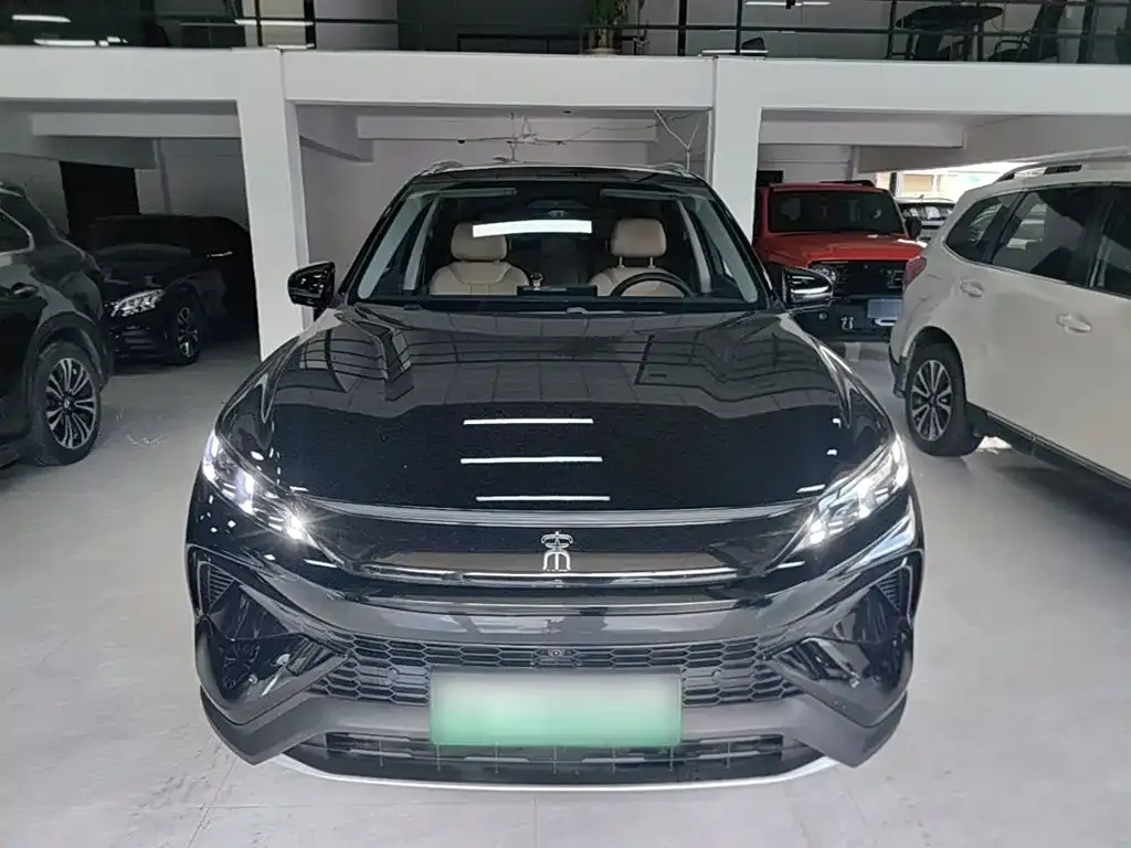 BYD Pro New Energy — фото 3