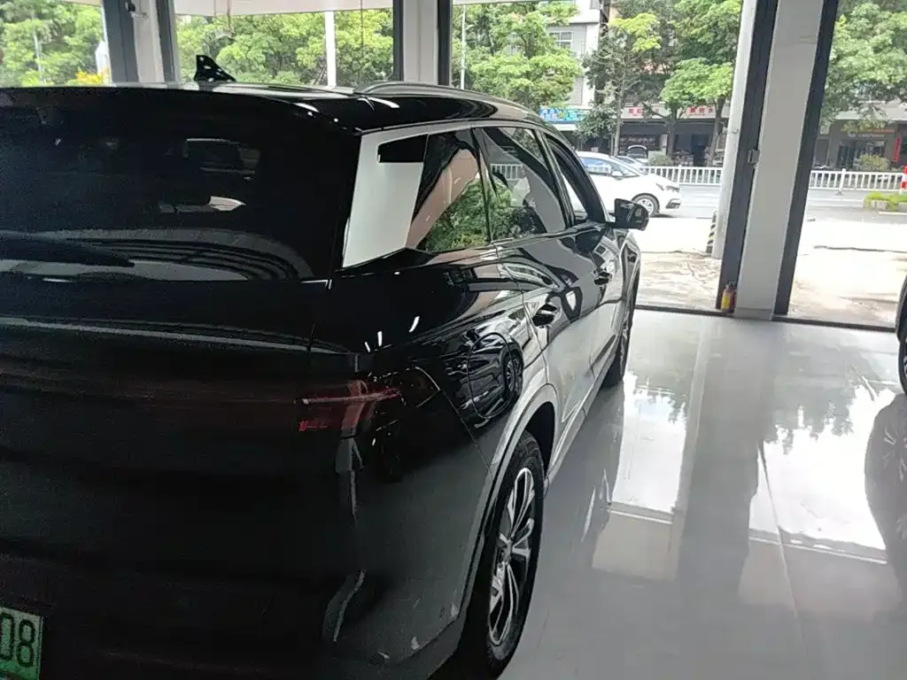 BYD Pro New Energy — фото 2