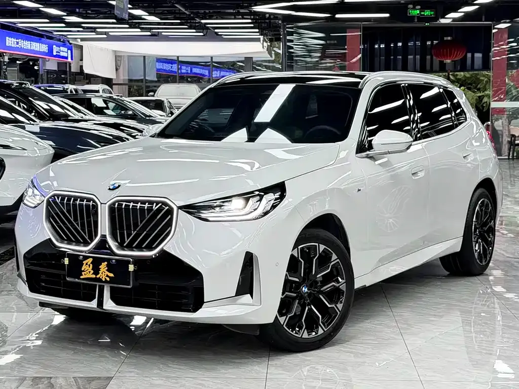 BMW X3 — фото 1
