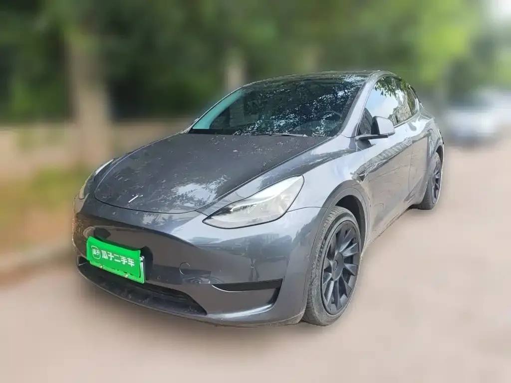 Tesla Model Y — фото 1