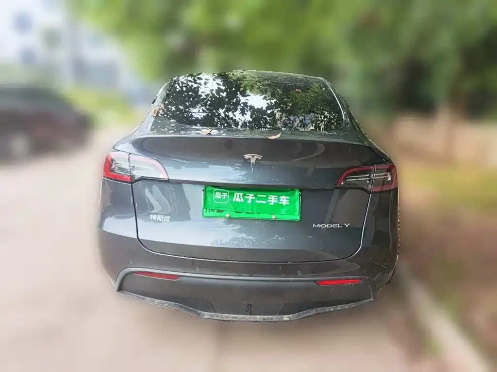 Tesla Model Y — фото 2