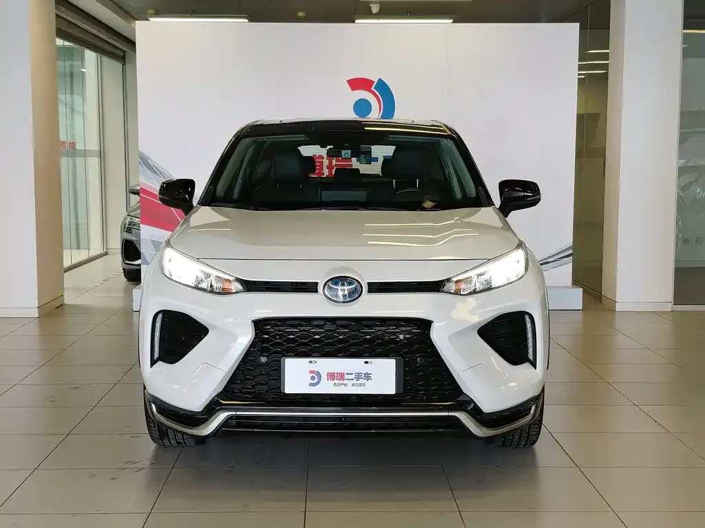 Toyota Wildlander New Energy — фото 6