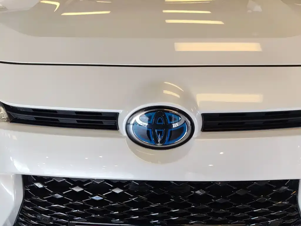 Toyota Wildlander New Energy — фото 10