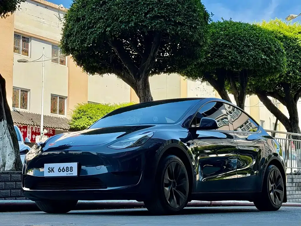 Tesla Model Y — фото 1