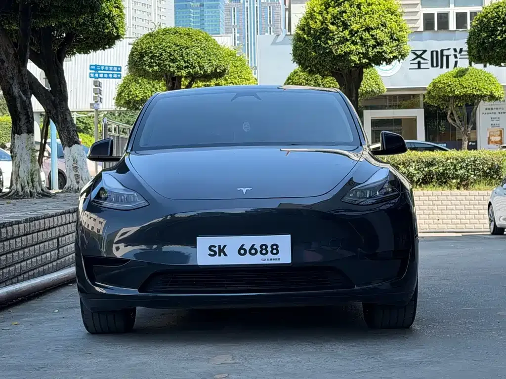 Tesla Model Y — фото 9