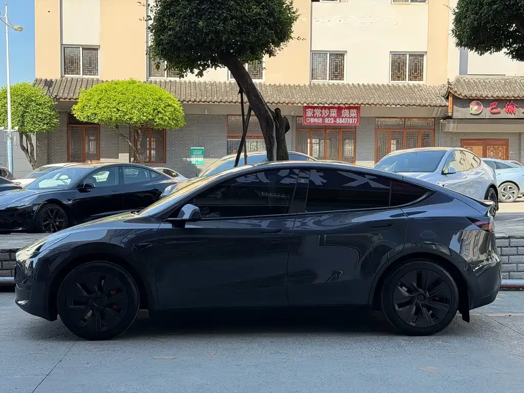 Tesla Model Y — фото 8