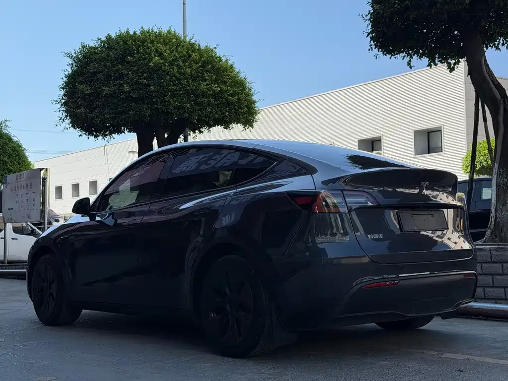 Tesla Model Y — фото 10