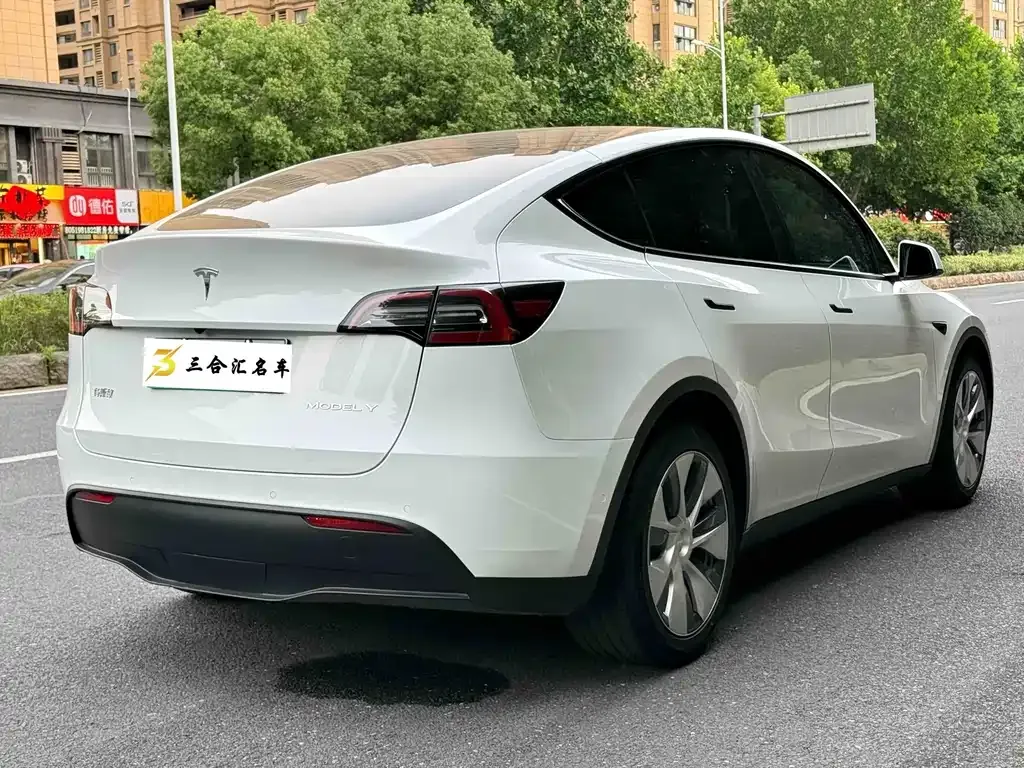 Tesla Model Y — фото 8