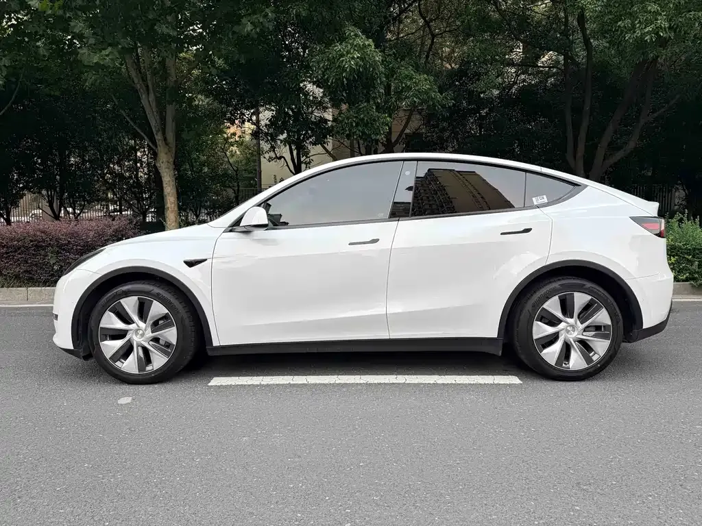 Tesla Model Y — фото 10