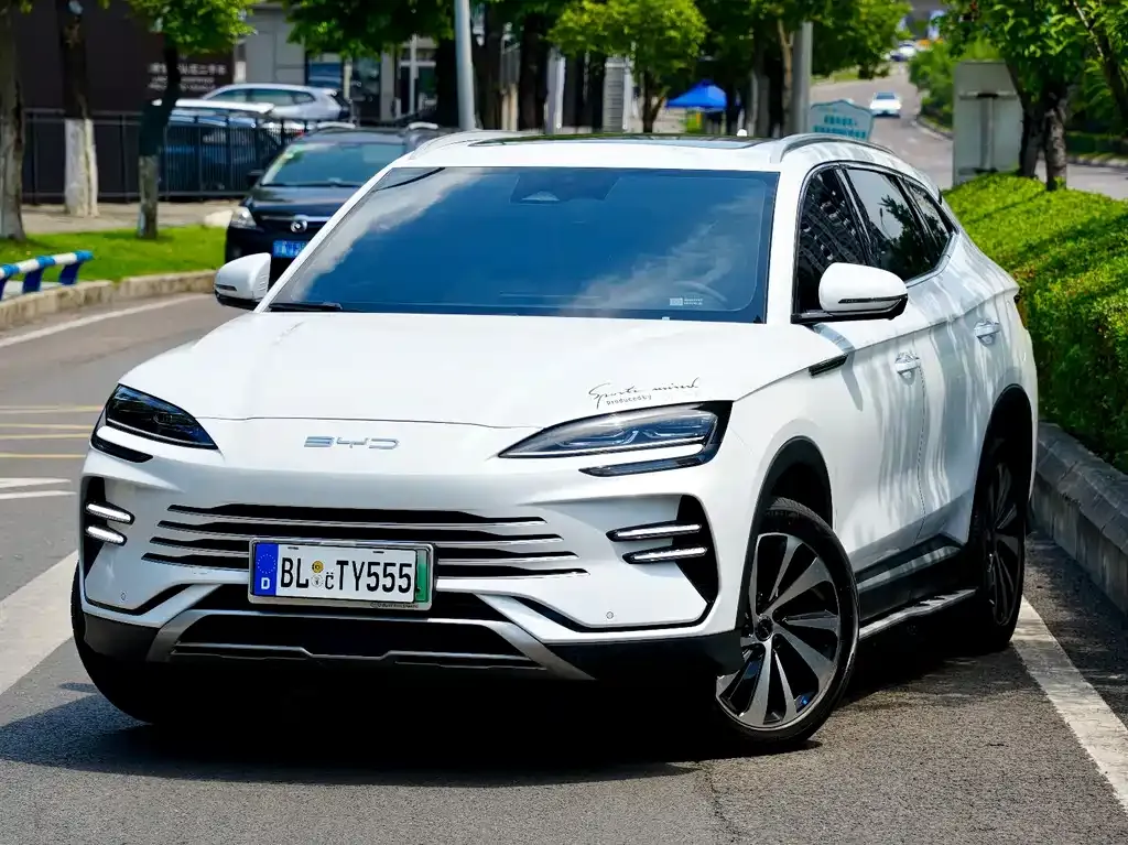 BYD PLUS New Energy — фото 1