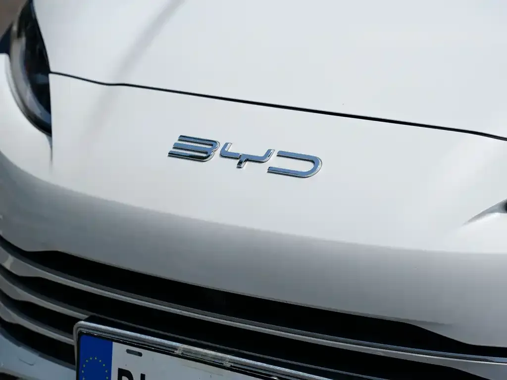 BYD PLUS New Energy — фото 4