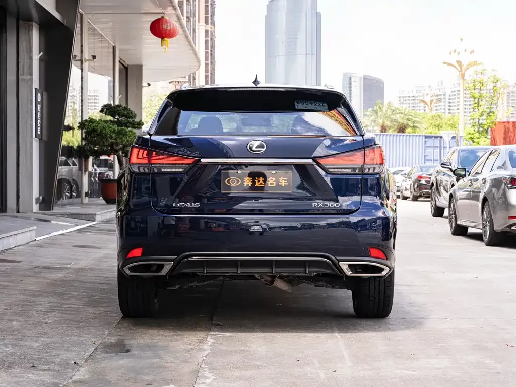 Lexus RX — фото 9
