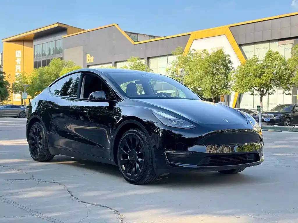 Tesla Model Y — фото 2
