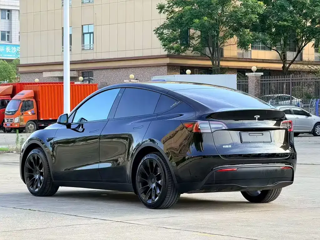Tesla Model Y — фото 9
