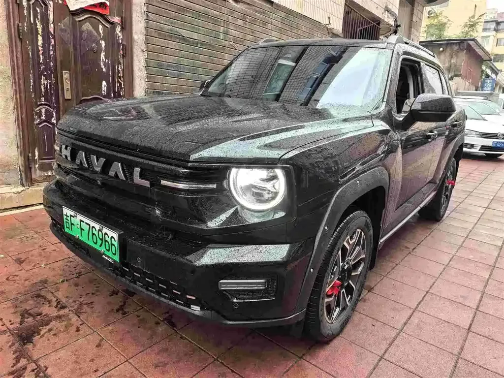 Haval H7 (Big Dog Plus) New Energy 2026 из CN, фото 9