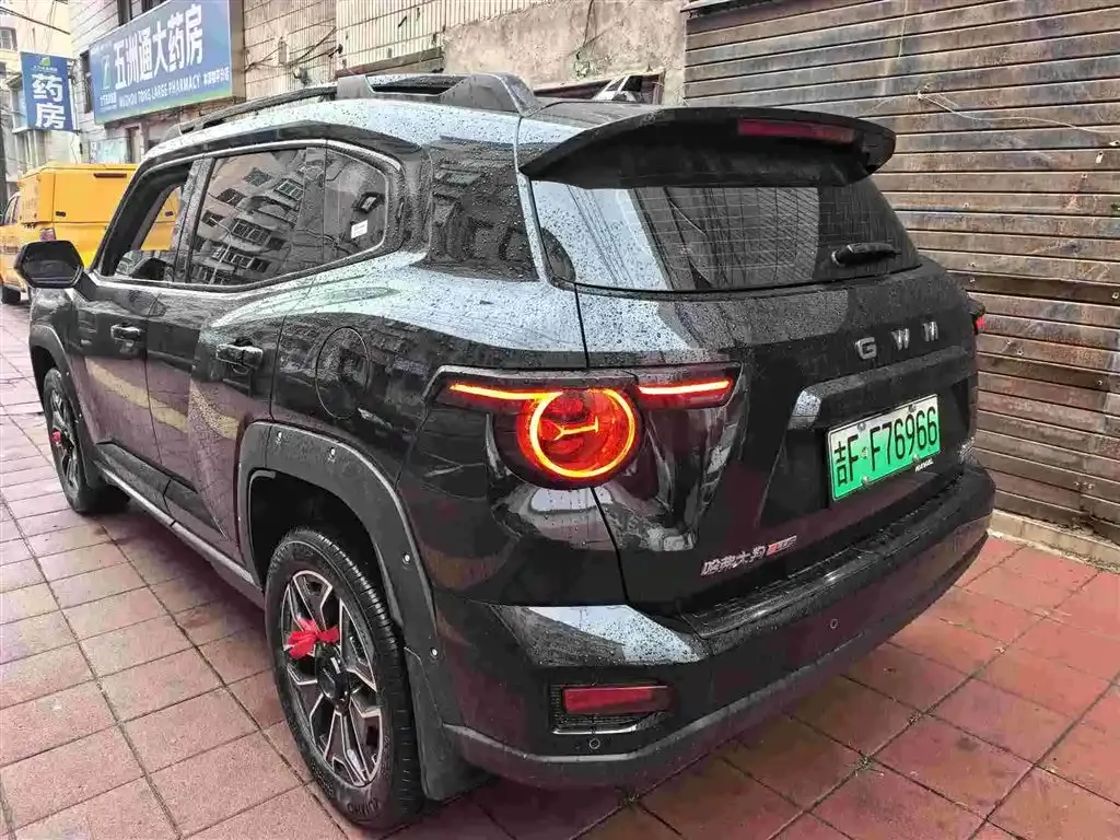 Haval H7 (Big Dog Plus) New Energy 2026 из CN, фото 8