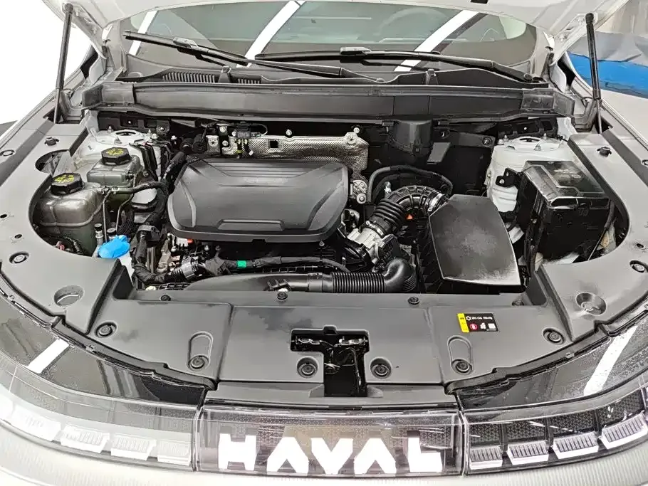 Haval Xiaolong MAX — фото 4