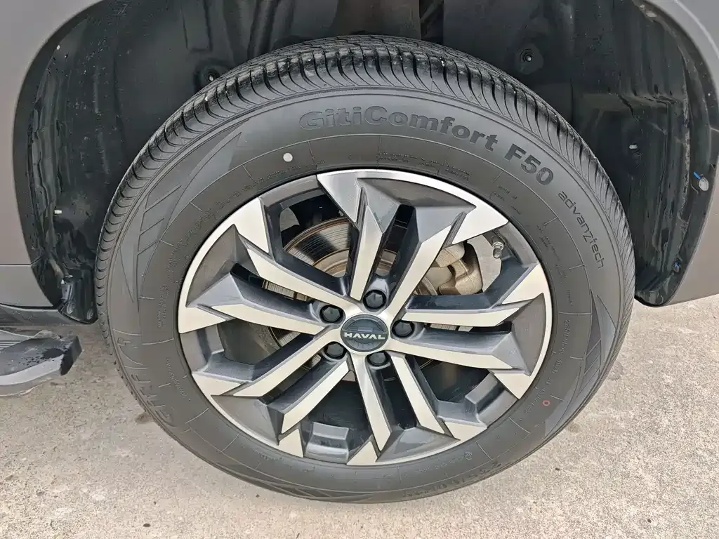 Haval Big Dog 2024 из CN, фото 9