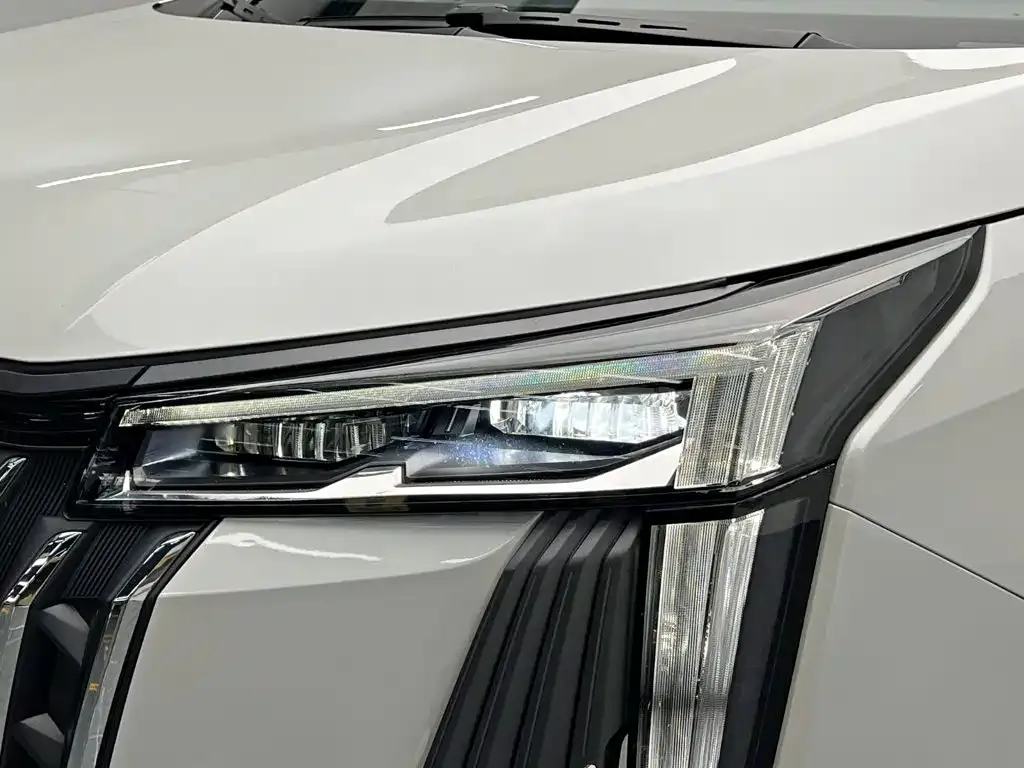 GAC Motor Trumpchi M8 — фото 7