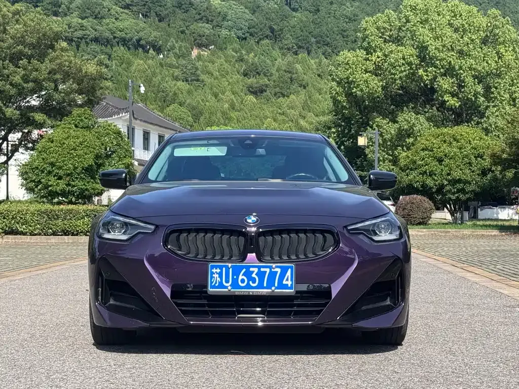 BMW 2 Series (Import) — фото 10