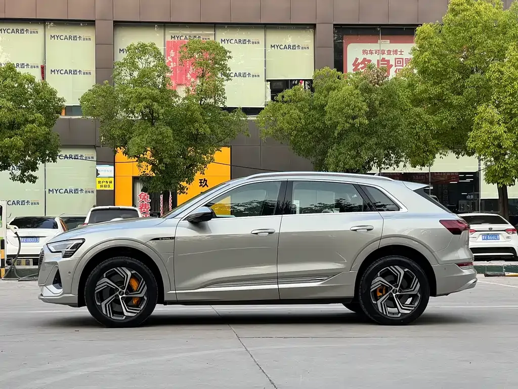 Audi e-tron 2022 из CN, фото 7