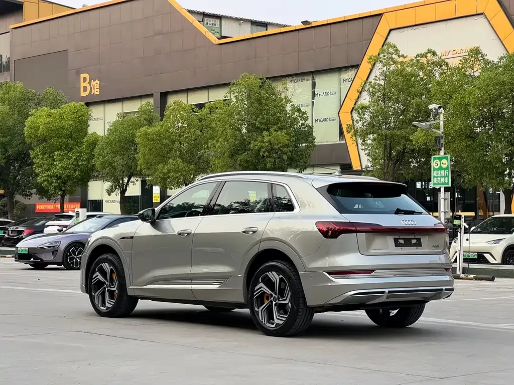 Audi e-tron 2022 из CN, фото 10