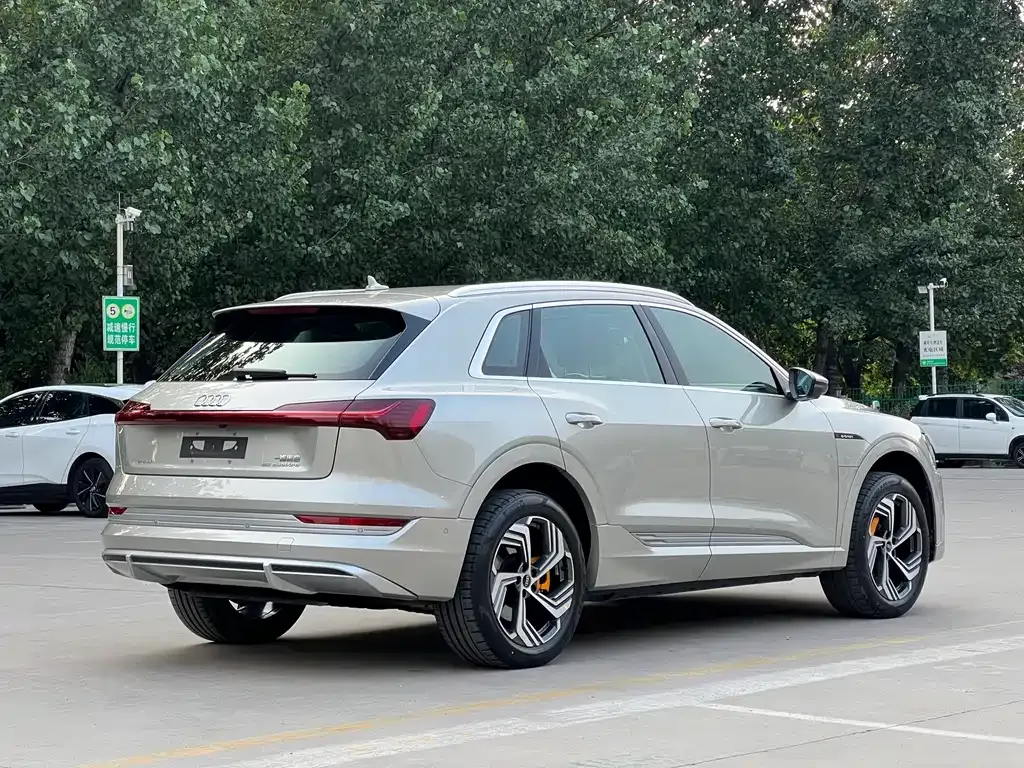 Audi e-tron 2022 из CN, фото 4