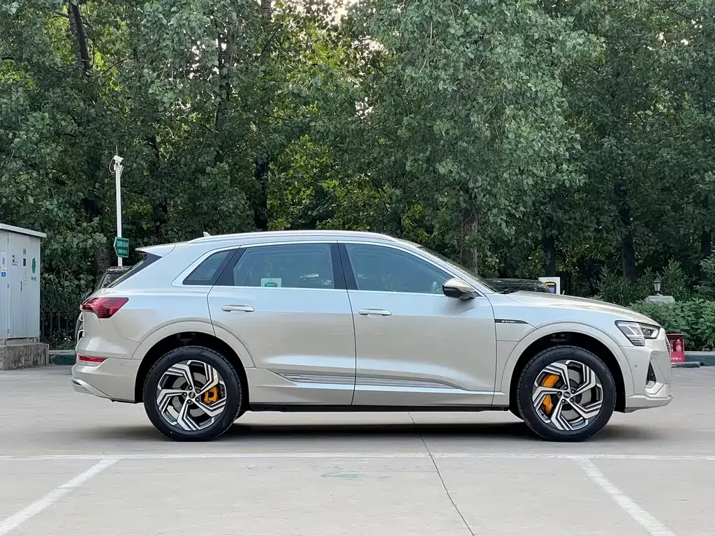Audi e-tron 2022 из CN, фото 9