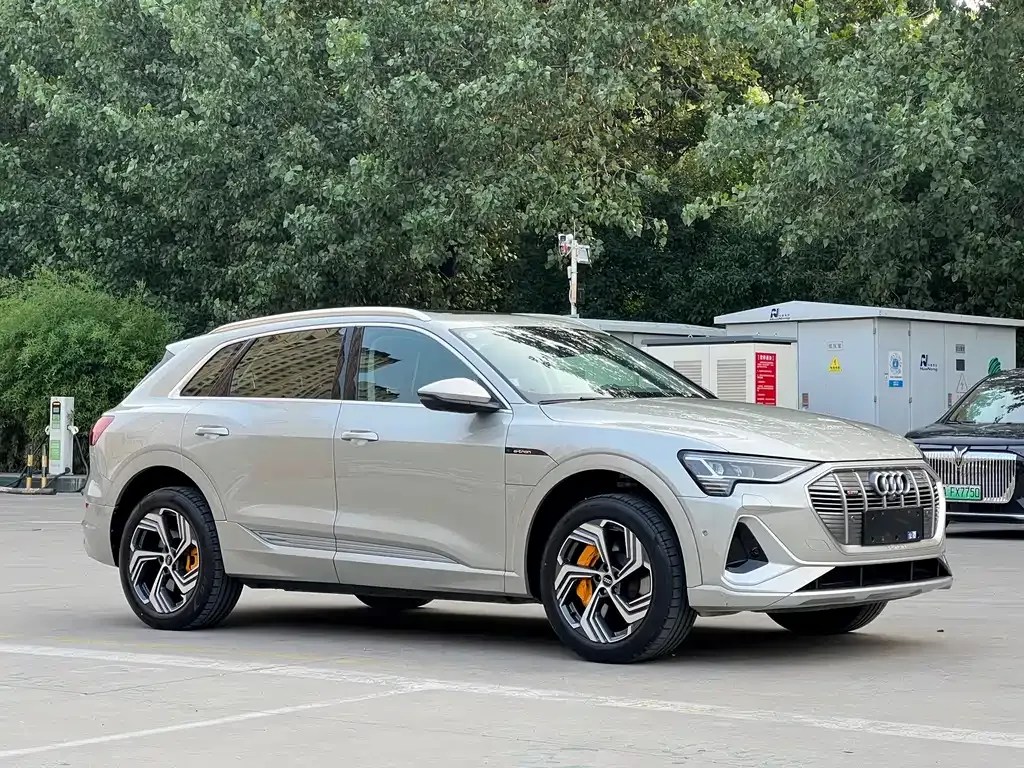 Audi e-tron 2022 из CN, фото 8