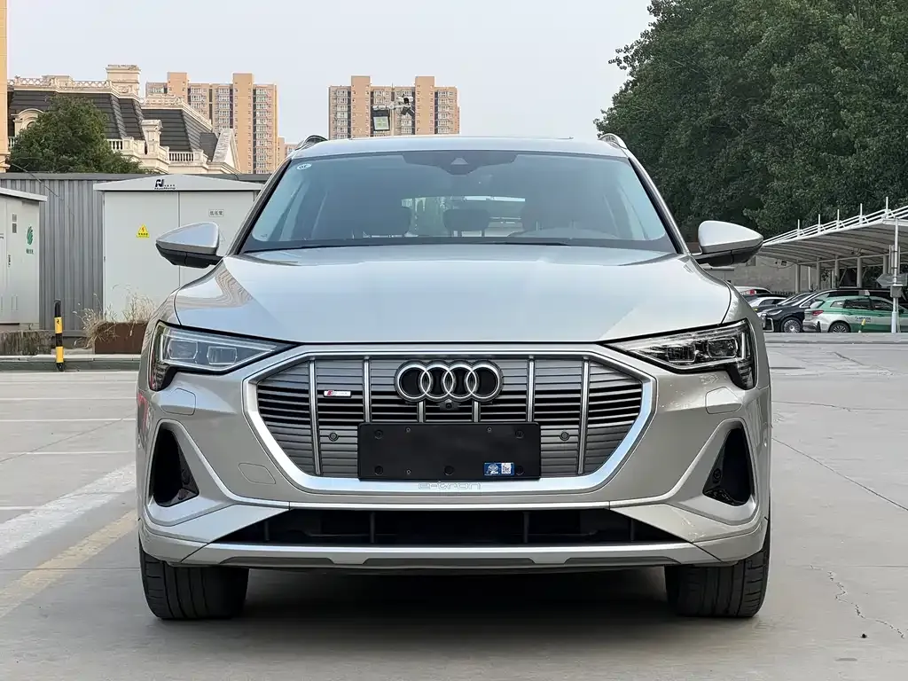 Audi e-tron 2022 из CN, фото 2