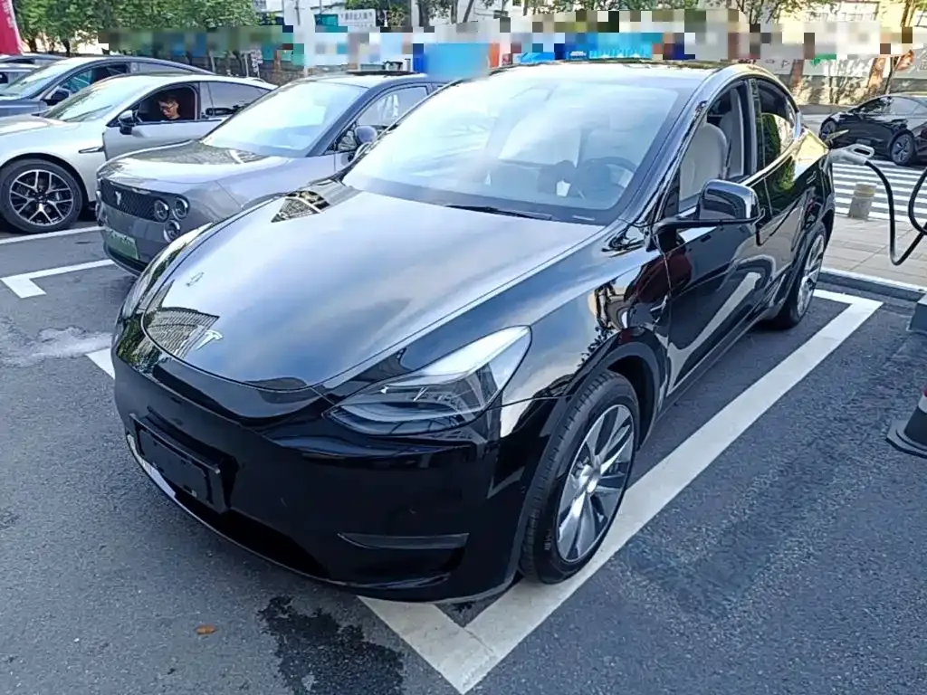 Tesla Model Y — фото 9