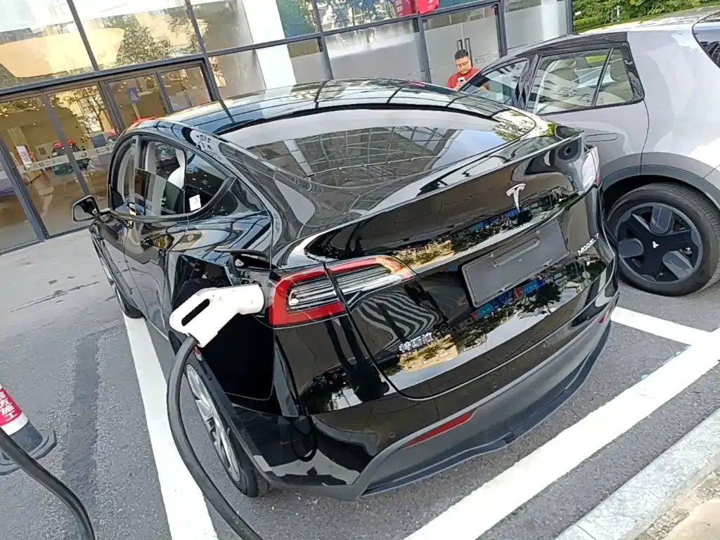 Tesla Model Y — фото 7