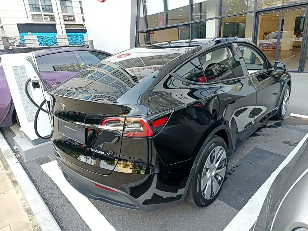 Tesla Model Y — фото 10