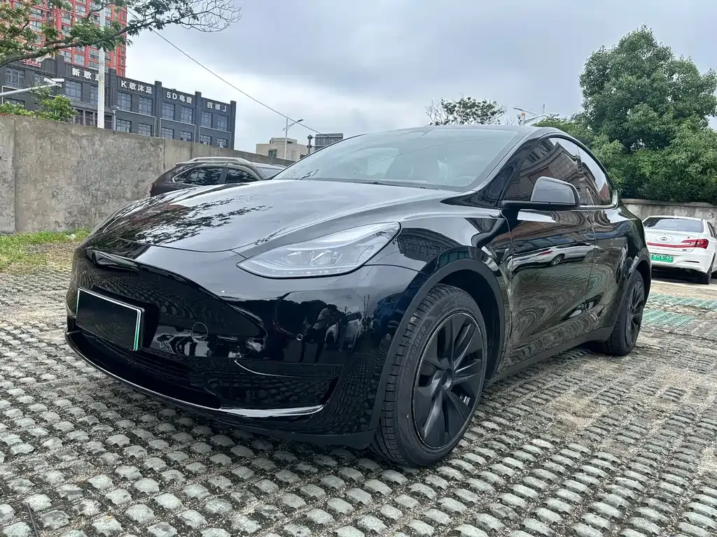 Tesla Model Y — фото 1