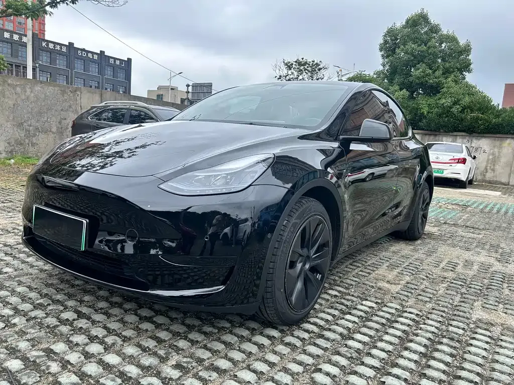 Tesla Model Y — фото 10