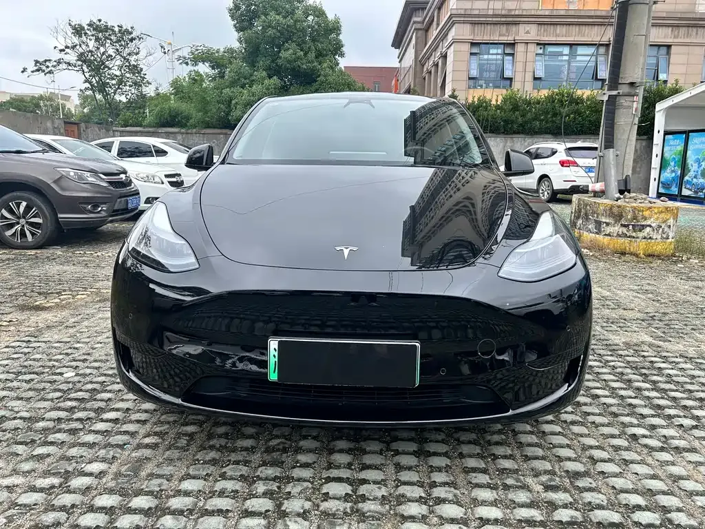 Tesla Model Y — фото 6