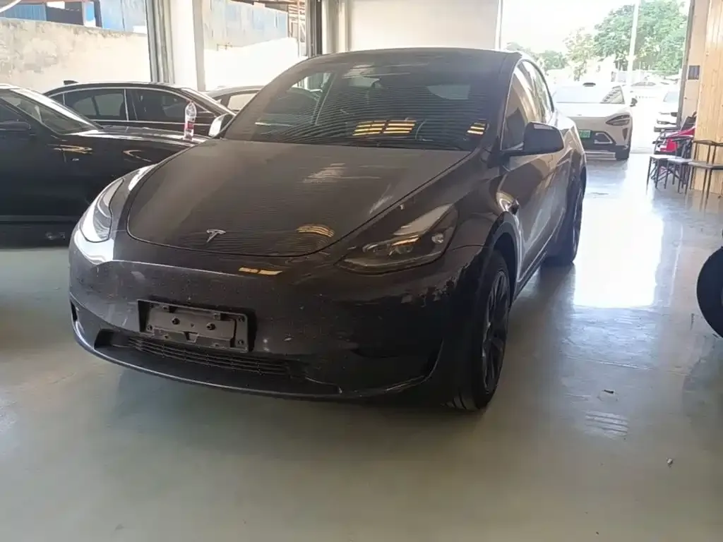 Tesla Model Y — фото 1