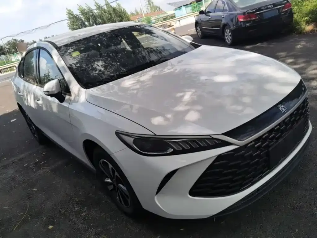 BYD Qin PLUS — фото 10
