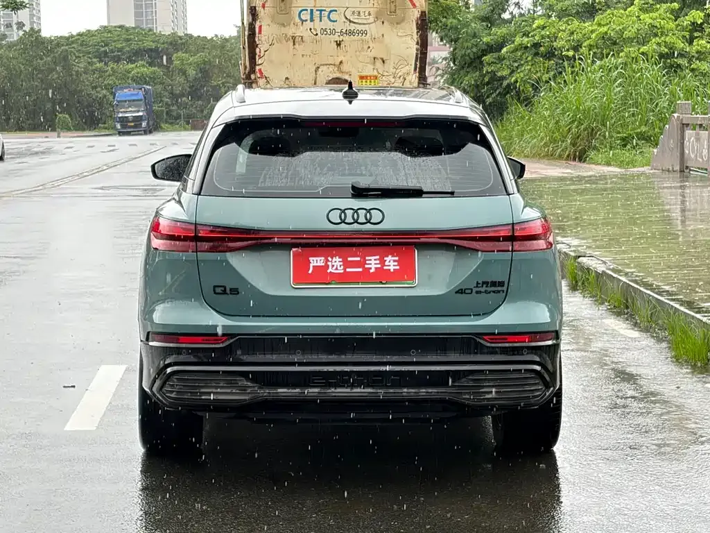 Audi Q5 e-tron 2024 из CN, фото 4