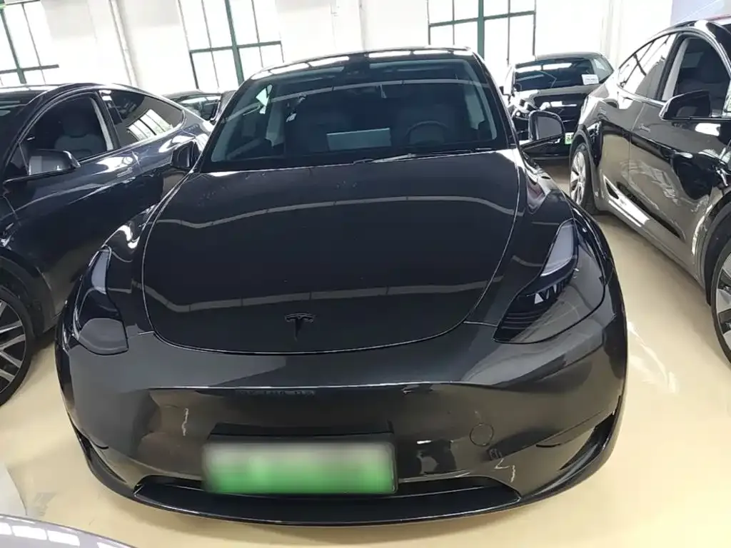 Tesla Model Y — фото 10